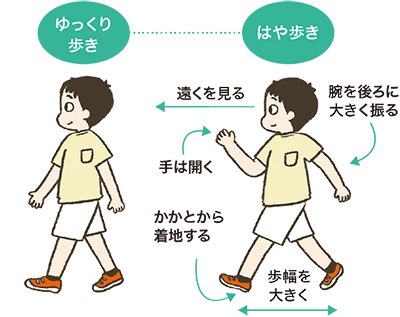 図解：ゆっくり歩きとはや歩き